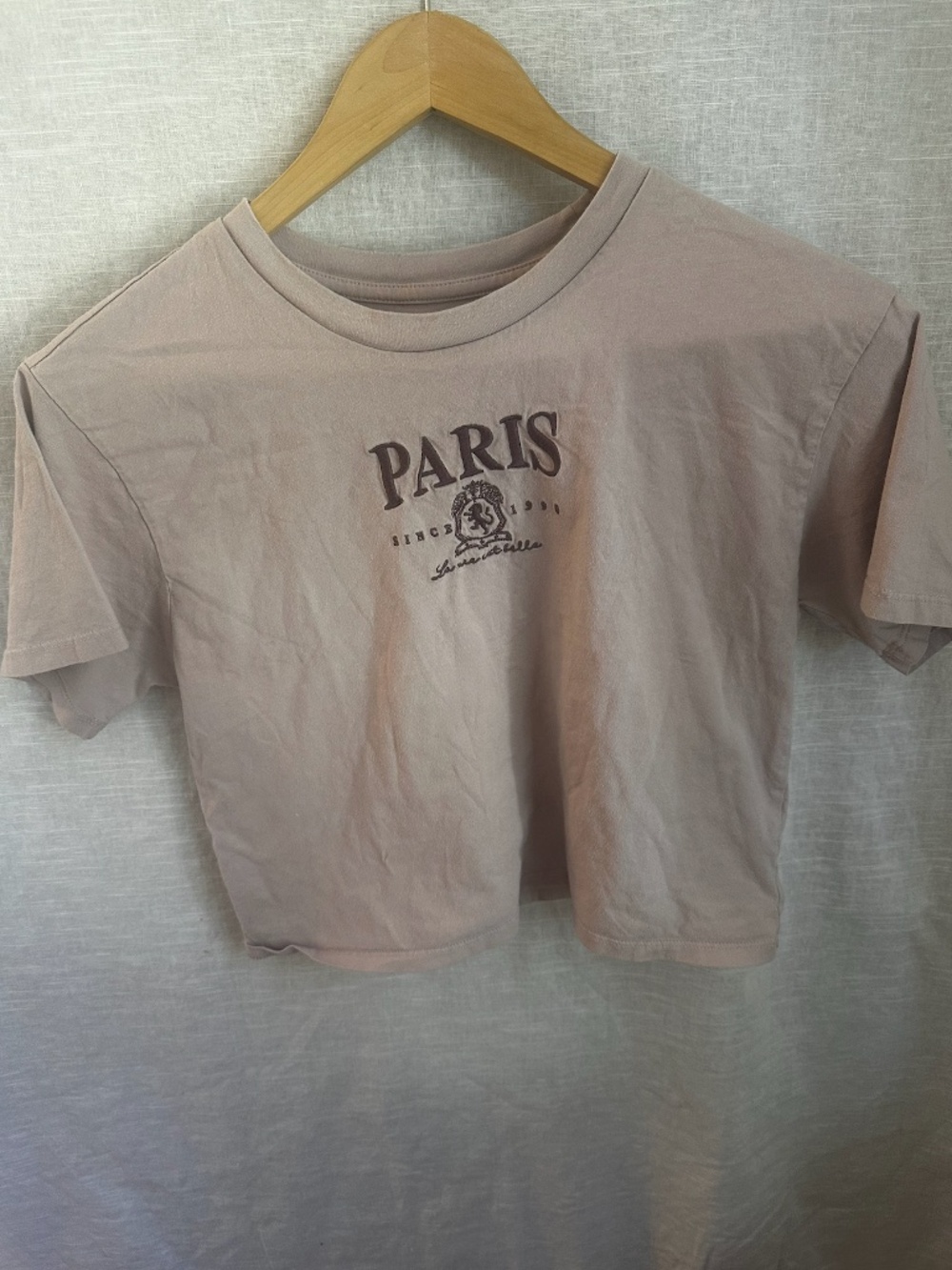Paris Graphic Crop Tee Organic Cotton Small Neutral Minimal